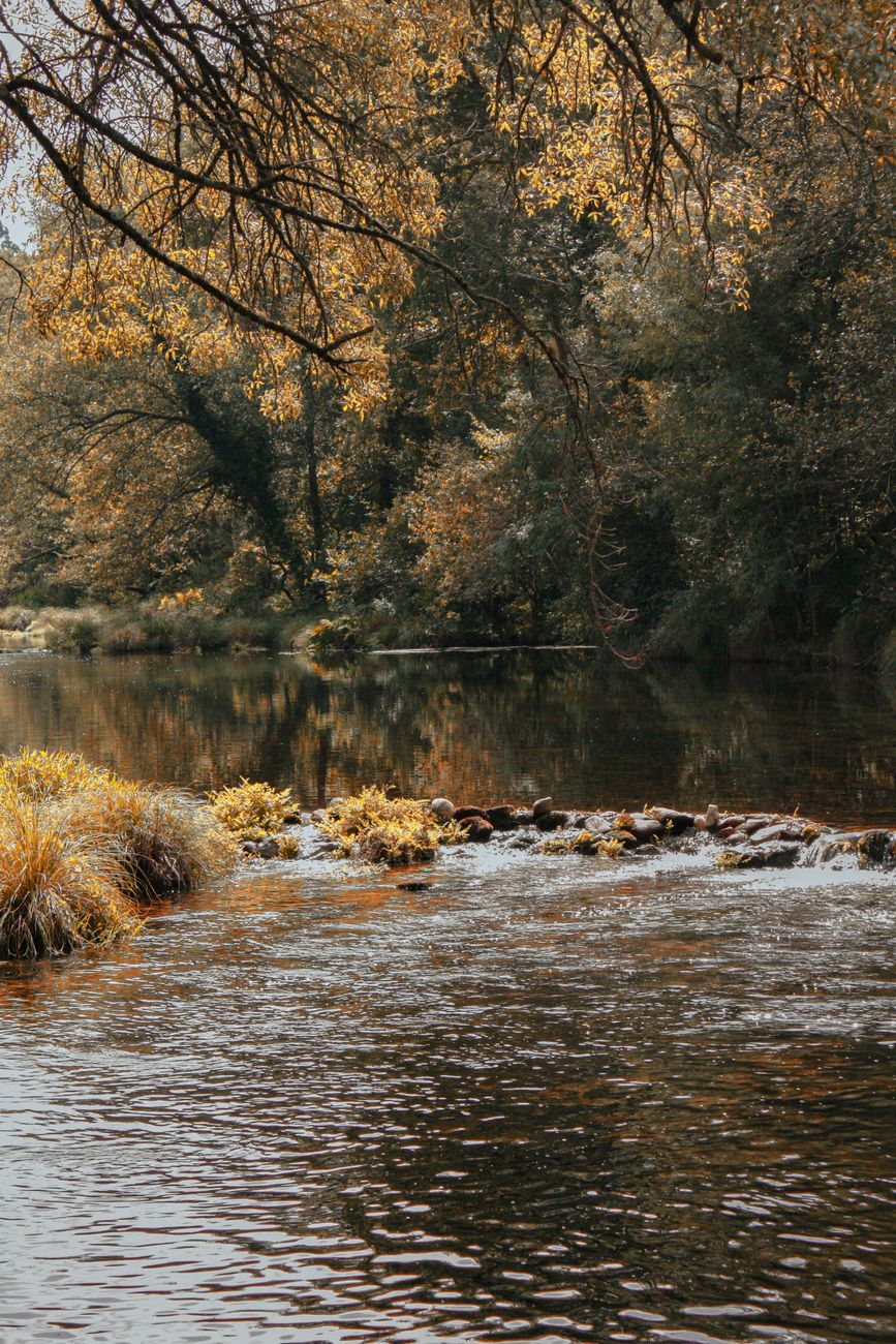 water flowing in the river